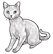 吉田戦車によるロシアンブルーのイラスト。