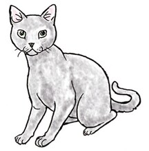 吉田戦車によるロシアンブルーのイラスト。