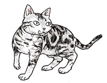 吉田戦車によるアメリカンショートヘアのイラスト。