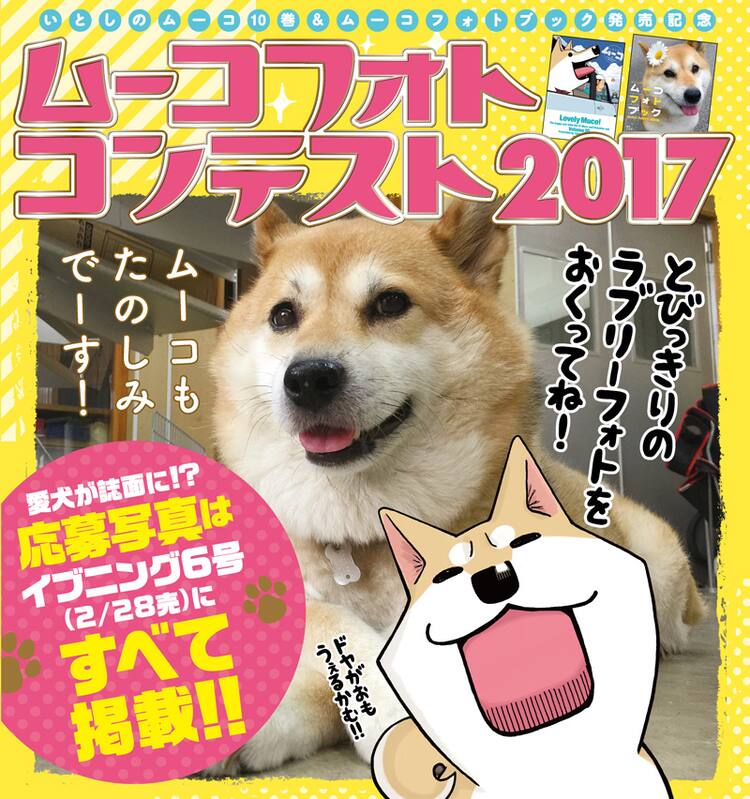ムーコ フォトコンで愛犬の写真募集中 大賞犬はみずしな孝之がイラスト化 コミックナタリー