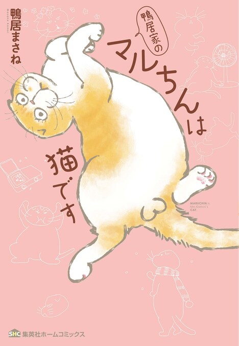 「鴨居家のマルちんは猫です」