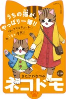 「ネコドモ」POP