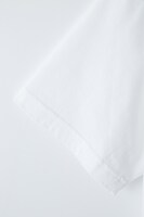 「ドルーTシャツ」