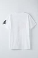 「ドルーTシャツ」