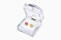 「劇場版 カードキャプターさくら ピアス」