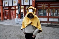 来場者に進呈された「モフモフたぬきポンチョ」。