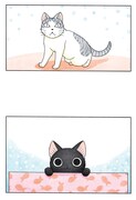 ふくふくからスーと鯛ちゃんへ、こなみかなたの描く猫マンガがバトンタッチ