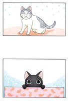 「スーと鯛ちゃん」のイラスト。