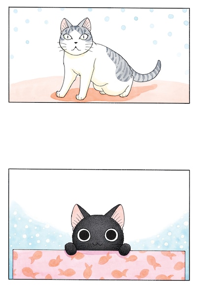 「スーと鯛ちゃん」のイラスト。