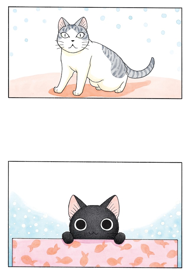 「スーと鯛ちゃん」のイラスト。