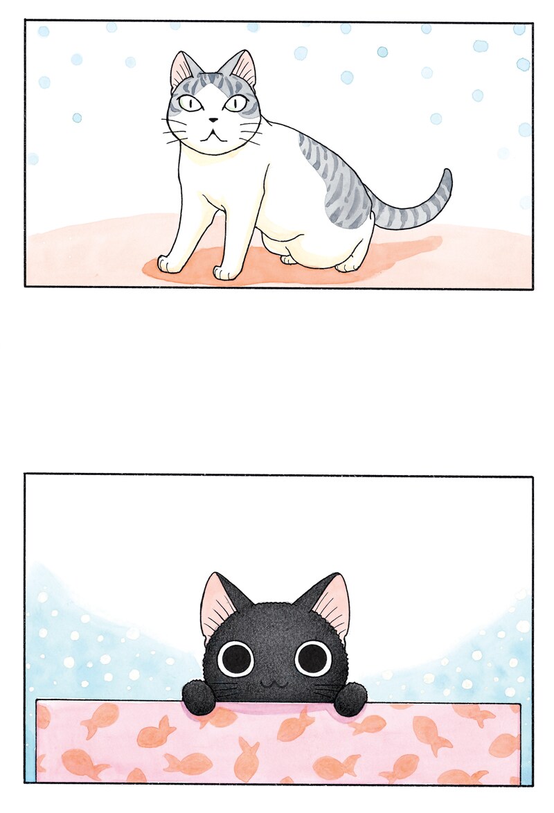 「スーと鯛ちゃん」のイラスト。