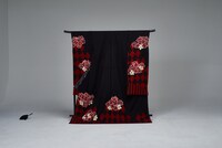 加州清光モデル