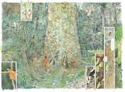 「魔女」1巻に収録されている「KUARUPU」の見開き絵。