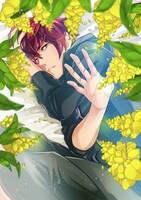 「囚われのパルマ～孤島の王子～」の扉イラスト。