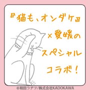 「猫も、オンダケ」と愛媛名産品コラボのバナー。