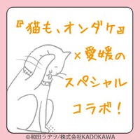「猫も、オンダケ」と愛媛名産品コラボのバナー。