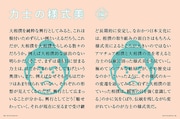 「大相撲の美――デザイン視点で相撲を知る」より。
