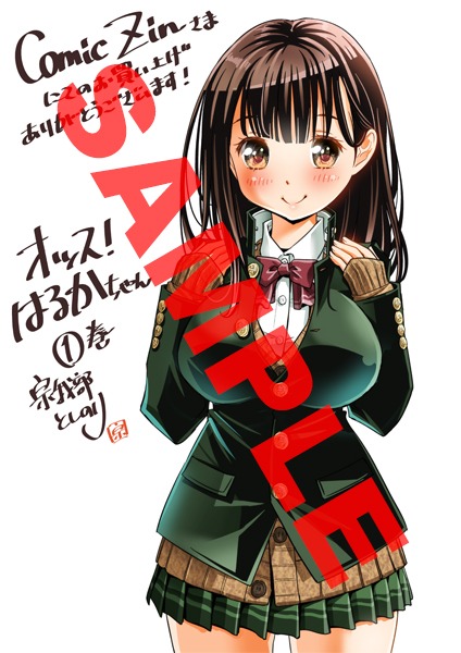 COMIC ZIN特典
