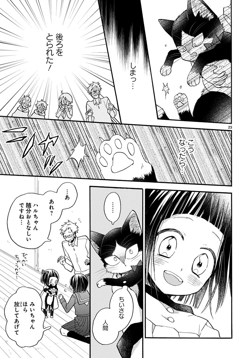 「同居人はひざ、時々、頭のうえ。」より。