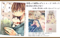 限定版に付属するポストカードの詳細。