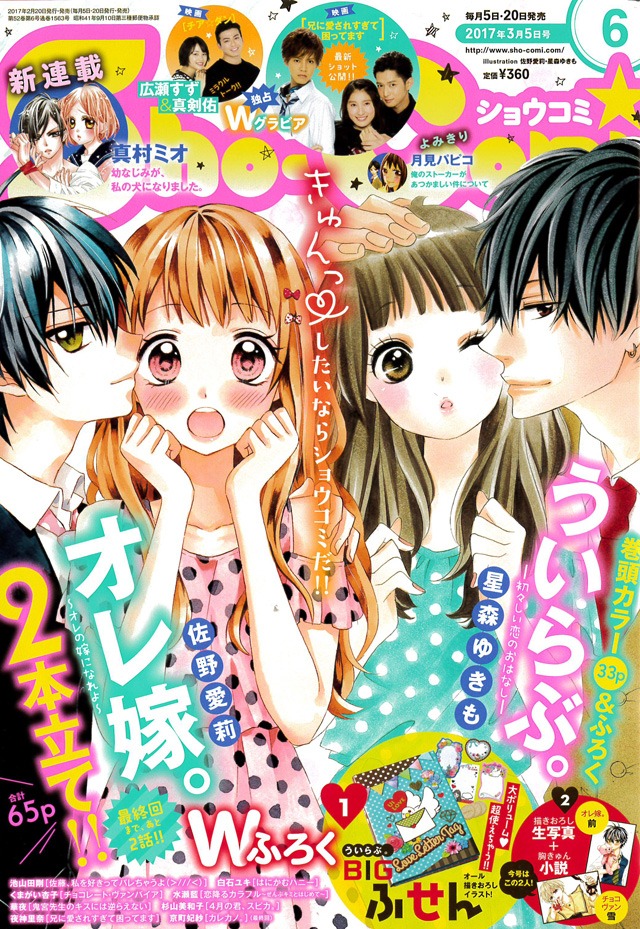 Sho-Comi6号