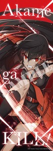 ゲーマーズでは「描き下ろしスリムタペストリー」付きの「アカメが斬る！」15巻が用意されている。