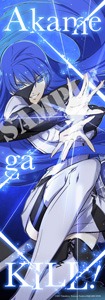 とらのあなでは「描き下ろしスリムタペストリー」付きの「アカメが斬る！」15巻が用意されている。