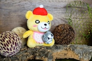 ウミノグマ