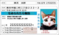 元祖「なめ猫」免許証