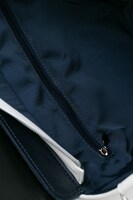 大和守安定モデル