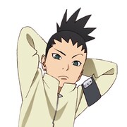 奈良シカダイのカット。