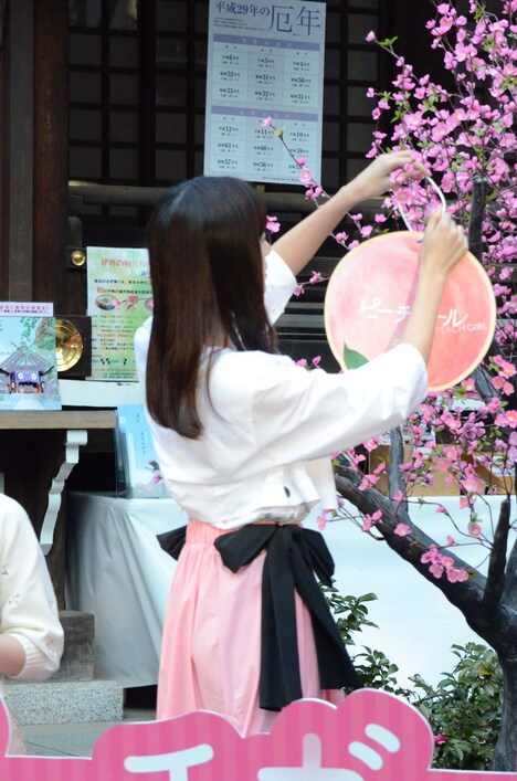 桃の木に絵馬を掛ける山本美月。