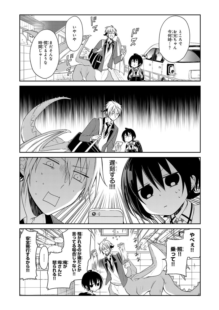 「ドラゴン（兄）観察日記」1巻より。