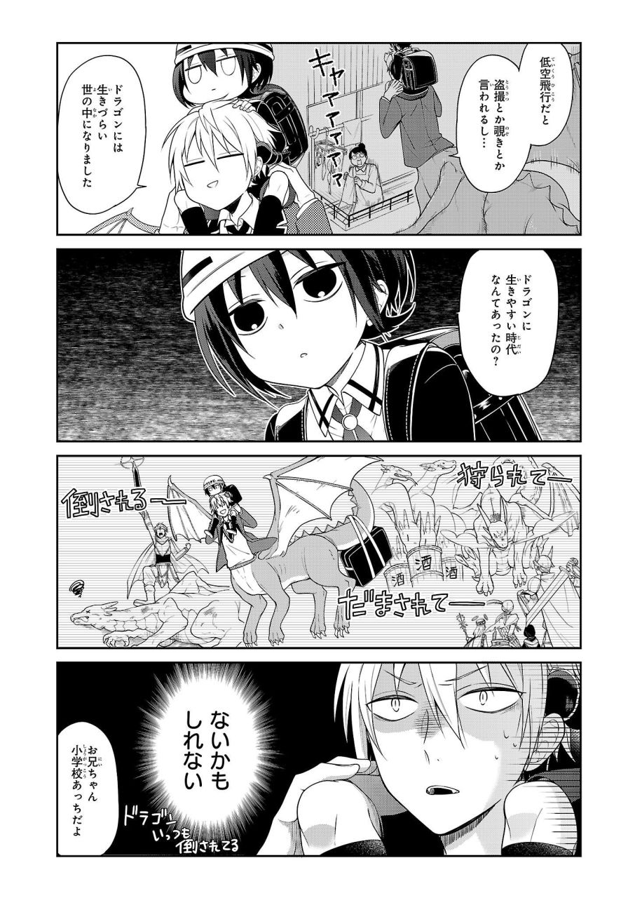 「ドラゴン（兄）観察日記」1巻より。