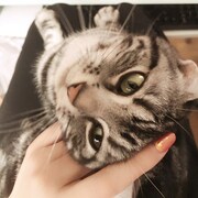 「猫彼氏」に登場するロワのモデルとなった猫。