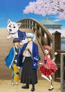 「銀魂華祭り 2017（仮）」キービジュアル