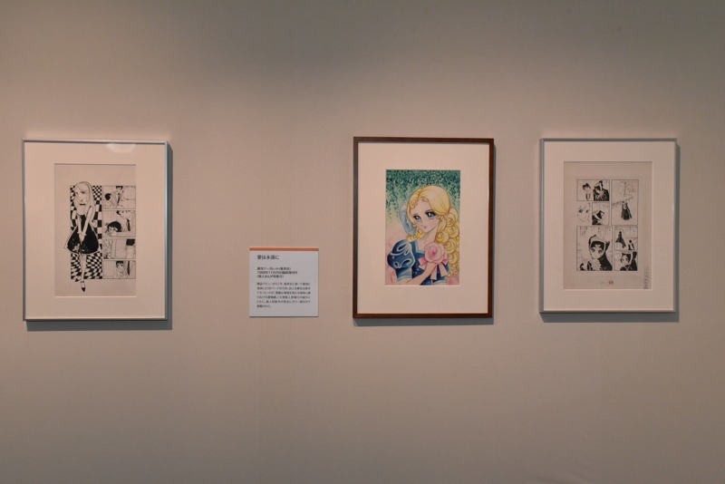 「デビュー50周年記念展 池田理代子-『ベルばら』とともに-」より。