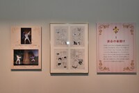 「デビュー50周年記念展 池田理代子-『ベルばら』とともに-」より。