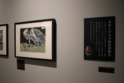 「追悼水木しげる ゲゲゲの人生展」の展示の様子。