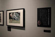 「追悼水木しげる ゲゲゲの人生展」の展示の様子。
