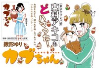 「カブちゃん」1巻のPOP。