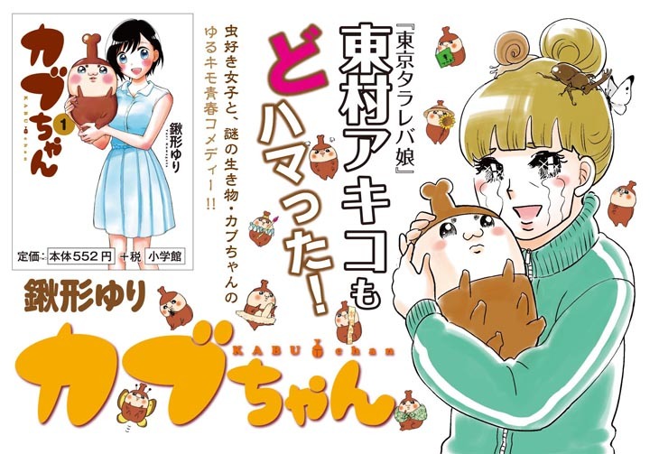 「カブちゃん」1巻のPOP。