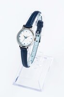 大和守安定モデル