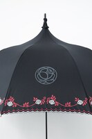 天上ウテナモデルの傘。