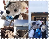 「劇場版 黒執事 Book of the Atlantic × シュタイフ『シエル・ファントムハイヴ　テディベア』」