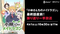 「小林さんちのメイドラゴン」一挙放送の告知画像。
