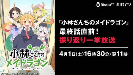 「小林さんちのメイドラゴン」一挙放送の告知画像。