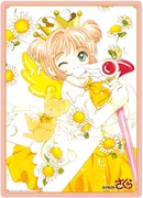 「B5クリア下敷き」