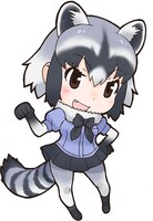 パネルに使用されているアライグマのイラスト。