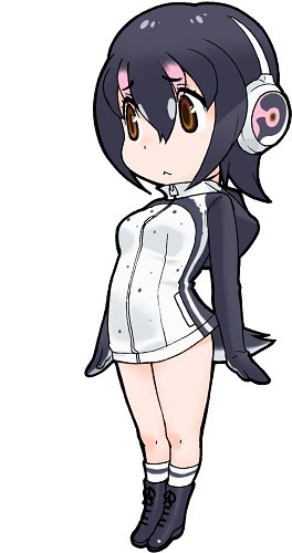 パネルに使用されているフンボルトペンギンのイラスト。